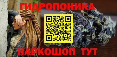 прущие грибы Будённовск