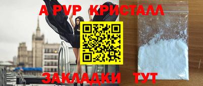 прущие грибы Будённовск