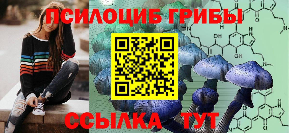 Галлюциногенные грибы Cubensis Озёры